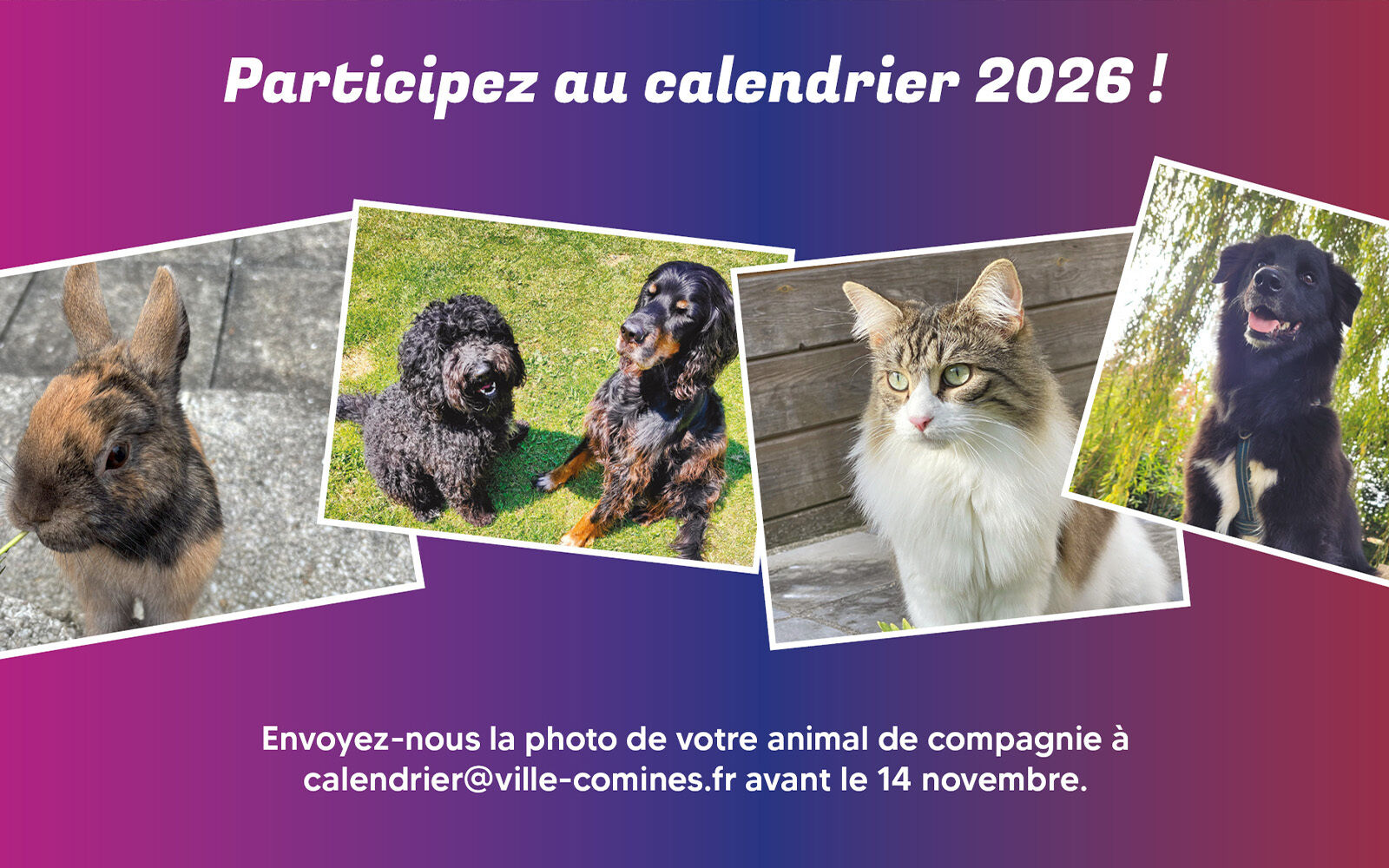 Calendrier 2026 : envoyez nous votre animal de compagnie ! 