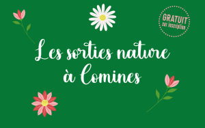 SORTIES NATURE SUR LE THÈME DE LA FAUNE ET LA FLORE Du 31 juil au 23 oct 2024